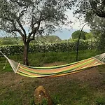Villa In Collina Vista Mare