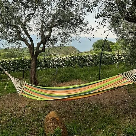 Villa In Collina Vista Mare