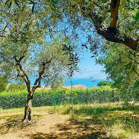 In Collina Vista Mare *